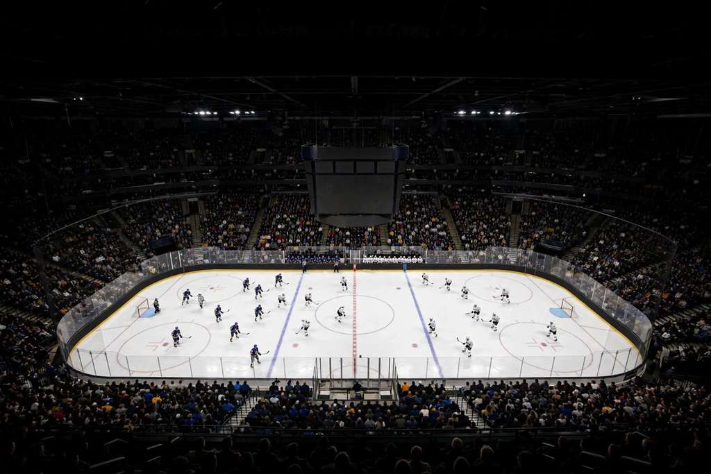 Buffalo, New York: les Sabres battent les Ducks 7 à 6 à Anaheim grâce au tour du chapeau naturel et aux cinq points de Tage Thompson