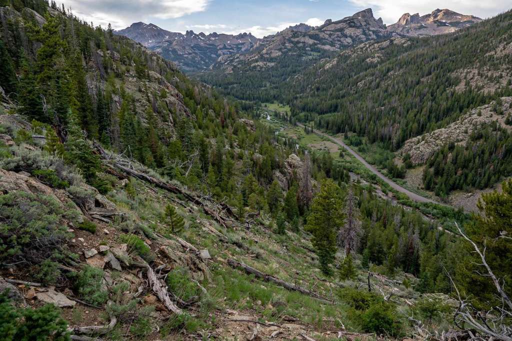Un padre y sus dos hijos adolescentes mueren en un accidente de avión cerca de Swampy Pass, en Colorado