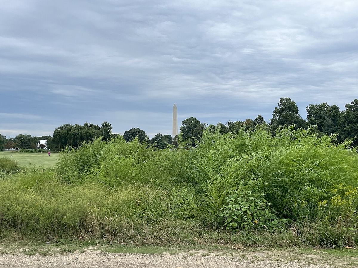 Justice Department Moves to Remove Judge in East Potomac Golf Course Case