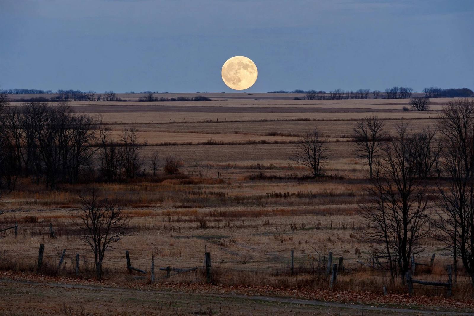 Luna llena esta noche: la Luna del Cazador culmina el 26 de octubre a las 12:12 a.m. EDT