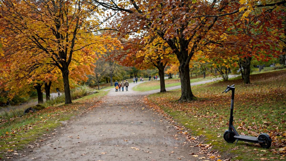Un arrondissement de Montréal interdit les trottinettes électriques dans les parcs, les sentiers et les trottoirs