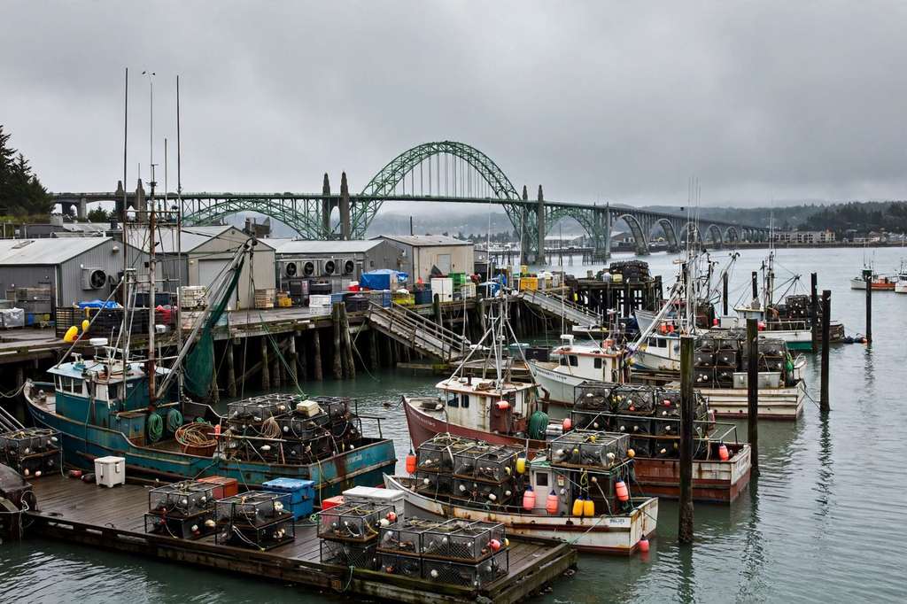Fire at Pacific Seafood Plant Forces One-Mile Evacuation in Newport, Oregon