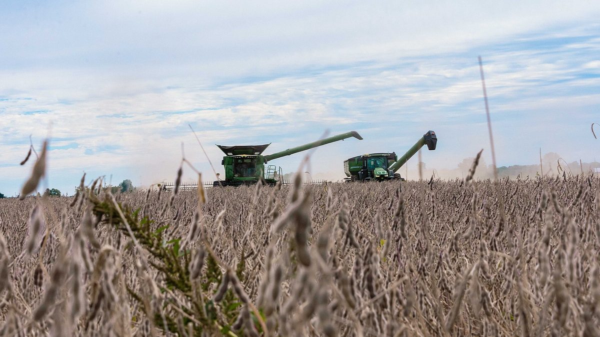 Trump annonce un programme d'aide de 8 milliards de dollars pour le carburant de récolte des agriculteurs