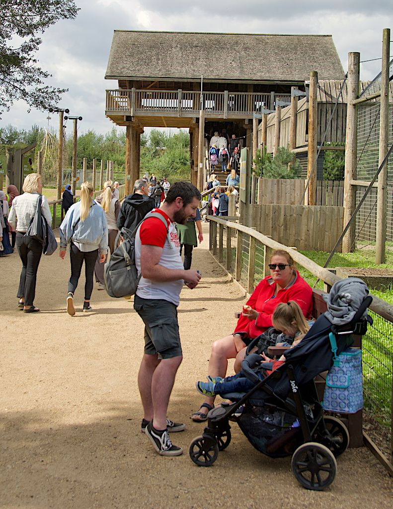 L'homme tué par un tigre dans un parc animalier britannique identifié comme William Chapman